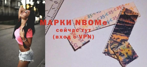PSILOCYBIN Каменка