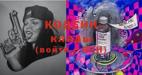 не бодяженный Иннополис