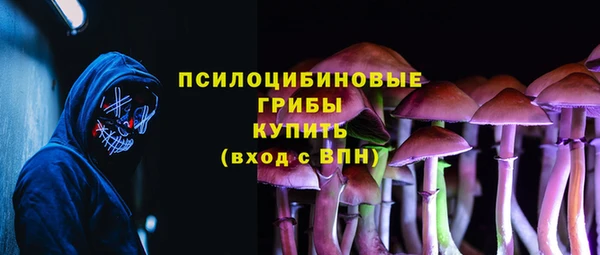 PSILOCYBIN Каменка
