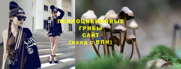PSILOCYBIN Каменка