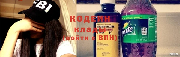 PSILOCYBIN Каменка