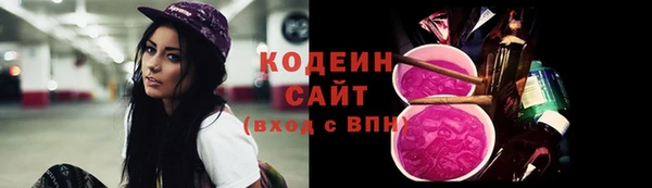 хмурый Инта