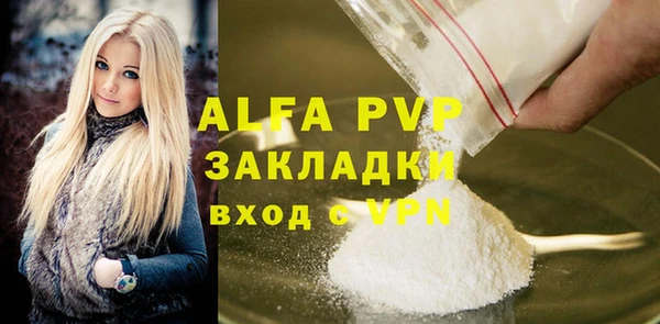 хмурый Инта