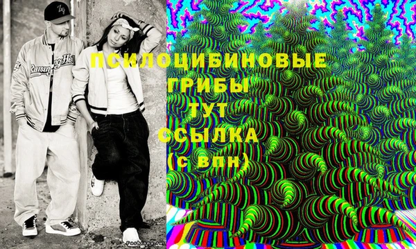 хмурый Инта