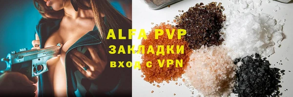 PSILOCYBIN Инсар